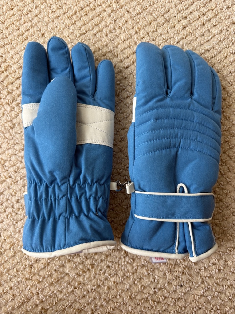 Women Blue Winter Ski Gloves - Padded Insulated Pair